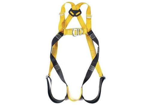 Harness